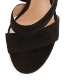 Suede Ankle-Tie 105mm Sandal, Black