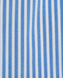 Bold Stripe Woven Dress Shirt, Blue