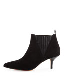 Faie Suede Kitten-Heel Bootie, Black
