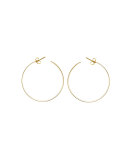 Large Vanity 14K Hoop Earrings