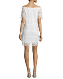 Gustina Off-The-Shoulder Lace Dress, White