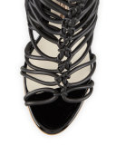 Lacey Lace-Up Gladiator Sandal, Black