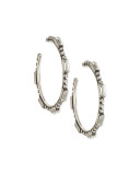 Lyra Crystal Hoop Earrings