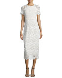 Short-Sleeve Lace Sheath Dress, Optic