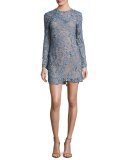 3D Floral-Lace Mini Dress, Dove Gray