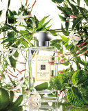 White Jasmine & Mint Cologne, 3.4 oz.