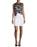 Weslee Sheath Dress with Lace Bodice 