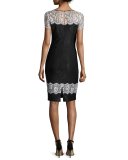 Lace-Trim Sequined Knit Short-Sleeve Dress, Caviar/Bianco