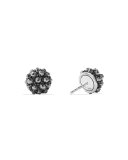 Osetra Hematine Stud Earrings