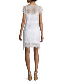 Andria Short-Sleeve Lace Tunic Dress 
