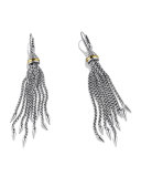 Chain Earrings with Gold