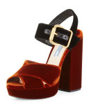 Bicolor Velvet Platform Sandal, Black/Brown