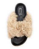 Shearling Fur Flat Slide Sandal, Fawn