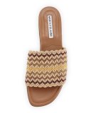 Arcara Woven Flat Slide Sandal, Multi