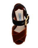 Velvet Platform Crisscross Sandal, Tobacco/Black (Tabacco+Nero)