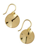 Wavy Disc Earrings