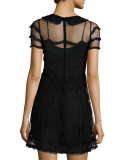 Peter Pan Collar Lace Dress