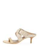 Mora Buckle Kitten-Heel Slide Sandal, Light Gold