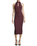 Juniper Mock-Neck Belted Midi Dress, Rum Raisin