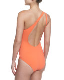 Hanna One-Shoulder Swimsuit with Cutout