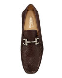 Parigi 3 Crocodile Gancini Driver, Brown