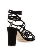 Jena Suede Lace-Up Sandal, Black