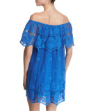 Angelique Crocheted-Lace Dress