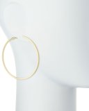 Large Golden Hoop Earrings