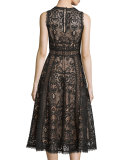 Sleeveless Lace Fit & Flare Dress, Black