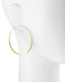 14k Large Glam Hoop Earrings