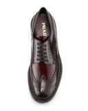 Levitate Leather Wing-Tip Derby Shoe, Dark Red