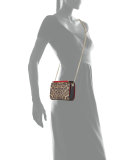 Vanite Small Leopard-Print Clutch Bag