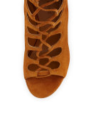 Emma Lace-Up Gladiator Boot, Cognac