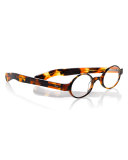 Bello Round Readers, Tortoise