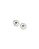 Round Diamond Earrings with Diamond Halo in 18K White Gold