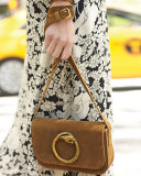 Eddie Besace Suede Serpent Shoulder Bag, Brown