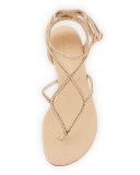Crystal T-Strap Flat Sandal, Nude