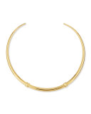 Golden Wrapped Horn Collar Necklace