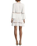 Merryl Long-Sleeve V-Neck Lace Dress, White