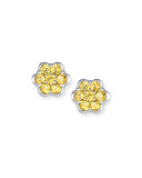 Platinum & Yellow Sapphire Floral Stud Earrings