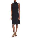 Darla Sleeveless Tie-Neck A-Line Dress, Black