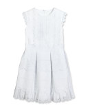 Sleeveless Pleated Cotton Eyelet Dress, White, Size 2-14