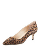 BB Leopard-Print Suede 50mm Pump, Leopard