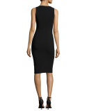 Park V-Neck Sleeveless Sheath Dress