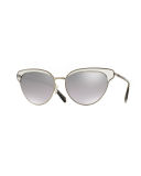 Josa Trimmed Cat-Eye Sunglasses