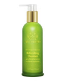 Refreshing Cleanser, 4.1 fl. oz./125mL