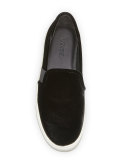 Blair-12 Velvet Skate Sneaker, Black