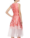 Sleeveless Palm-Print Overlay Dress, Red/Pink