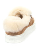 Shearling Zip Low-Top Sneaker, Tobacco