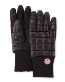 Northern Glove Liner, Black